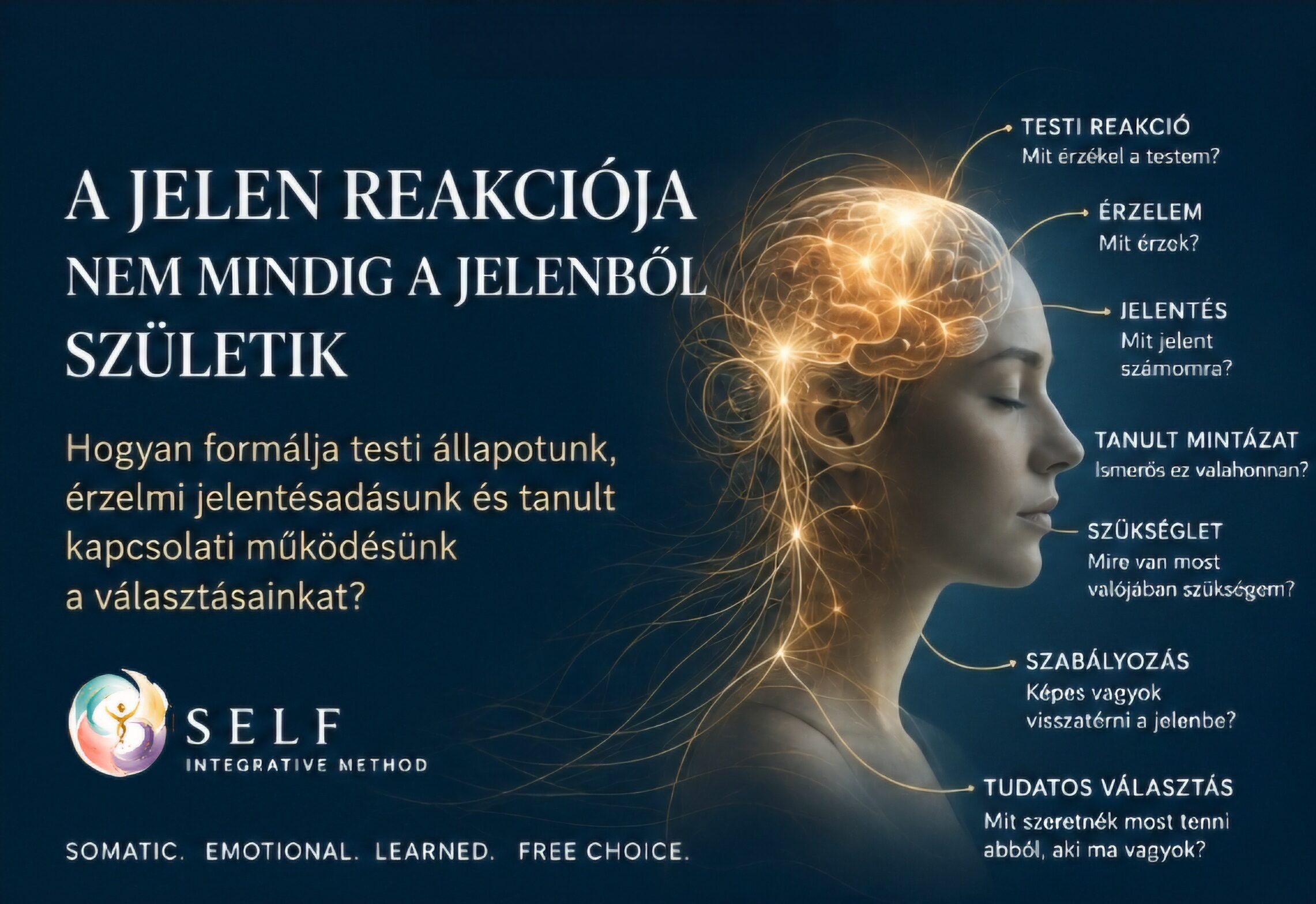 A jelen reakciója nem mindig a jelenből születik - Hogyan formálja testi állapotunk, érzelmi jelentésadásunk és tanult kapcsolati működésünk a választásainkat?