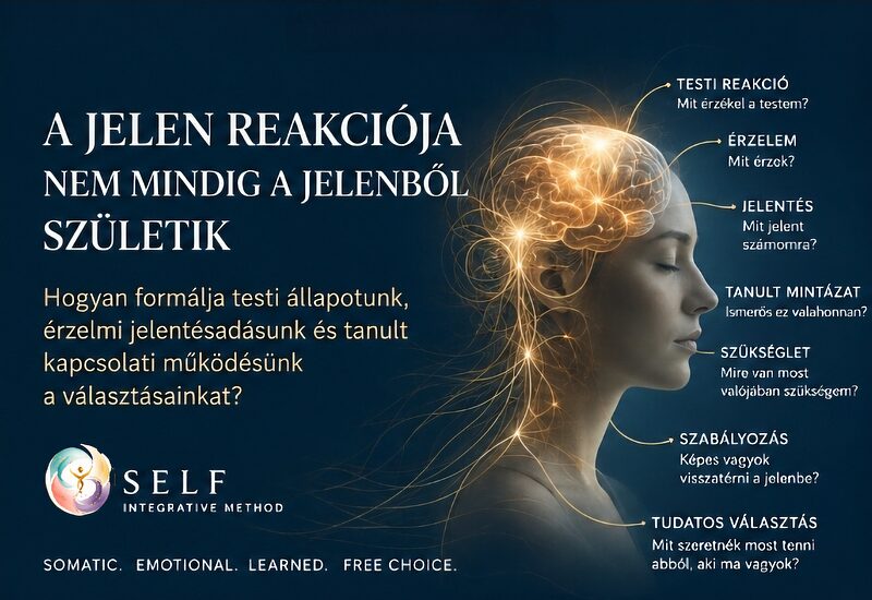 A jelen reakciója nem mindig a jelenből születik - Hogyan formálja testi állapotunk, érzelmi jelentésadásunk és tanult kapcsolati működésünk a választásainkat?